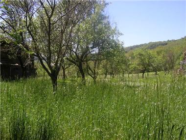 Land/Ruins for sale in Elena (Khaskovo)
