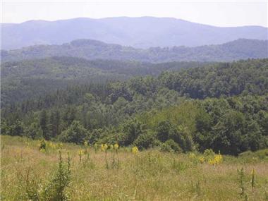 Land/Ruins for sale in Elena (Khaskovo)