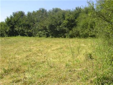 Land/Ruins for sale in Elena (Khaskovo)