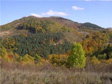 Land/Ruins for sale in Elena (Khaskovo)