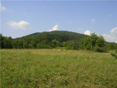 Land/Ruins for sale in Elena (Khaskovo)
