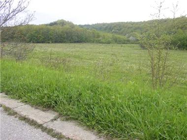 Land/Ruins for sale in Elena (Khaskovo)