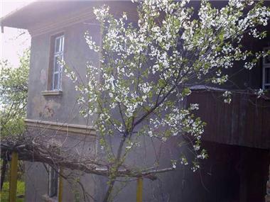 House/Villa for sale in Elena (Khaskovo)