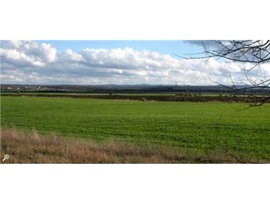 Land for sale in Kameno (Burgas)