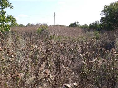 Land for sale in Kavarna (Dobrich)