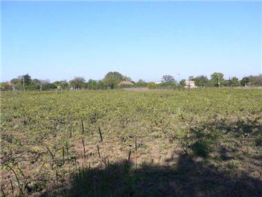 Land for sale in Kavarna (Dobrich)