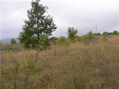 Land for sale in Nesebur (Burgas)