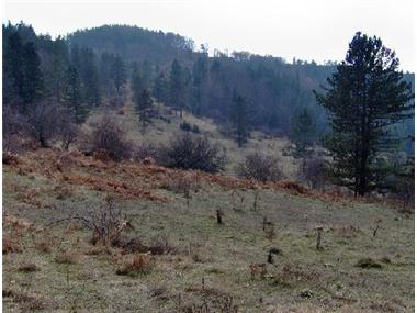 Land/Ruins for sale in Smolyan (Smolyan)
