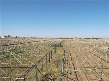 Commercial for sale in Beja (Beja)