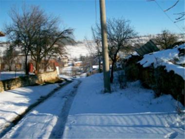 House/Villa for sale in Breznik (Pernik)