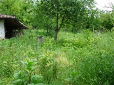 House/Villa for sale in Veliko Turnovo (Veliko Turnovo)