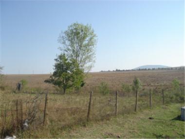 Land/Ruins for sale in Sozopol (Burgas)