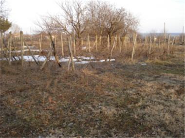 House/Villa for sale in Isperikh (Razgrad)