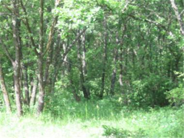 Land/Ruins for sale in Yambol (Yambol)