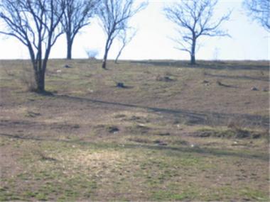 Land/Ruins for sale in Elkhovo (Yambol)