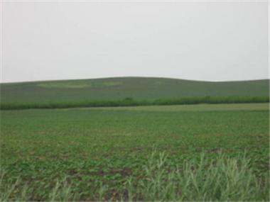 Land/Ruins for sale in Elkhovo (Yambol)
