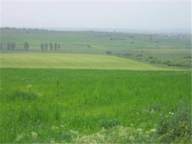 Land/Ruins for sale in Elkhovo (Yambol)