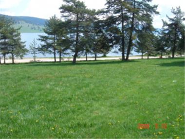 Land/Ruins for sale in Batak (Pazardzhik)