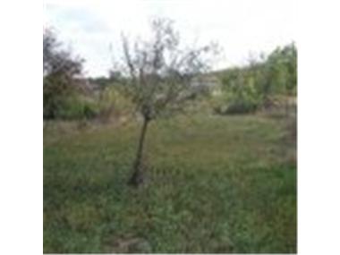 House/Villa for sale in Elkhovo (Yambol)