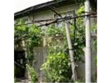 House/Villa for sale in Elkhovo (Yambol)