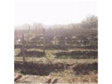 House/Villa for sale in Veliko Turnovo (Veliko Turnovo)