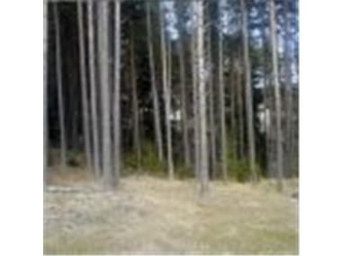 Land/Ruins for sale in Pazardzhik (Pazardzhik)