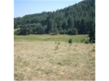 Land/Ruins for sale in Velingrad (Pazardzhik)