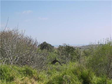 Land/Ruins for sale in Funchal (Regiao Autonoma da Madeira)