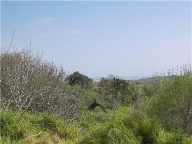 Plot for sale in Funchal (Regiao Autonoma da Madeira)