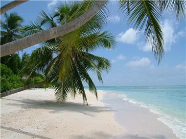 Land/Ruins for sale in Frecheiras (Ceara)