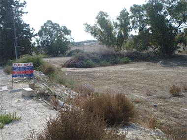 Land for sale in Mazotos (Larnaca)