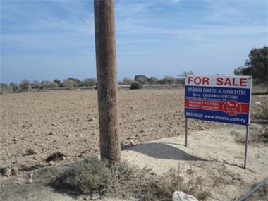 Land for sale in Mazotos (Larnaca)