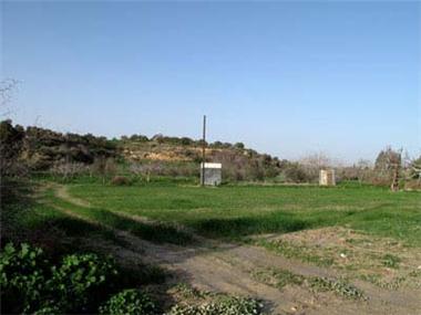 Land for sale in Mazotos (Larnaca)