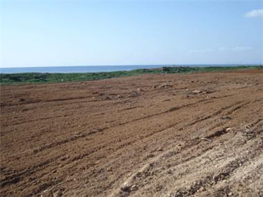 Land for sale in Ormidhia (Larnaca)