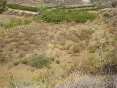 Land/Ruins for sale in Kellaki (Nicosia)