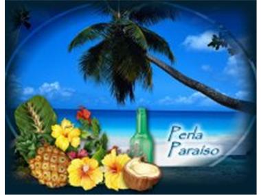 Land/Ruins for sale in Boca del Rio Chiriqui (Bocas del Toro)
