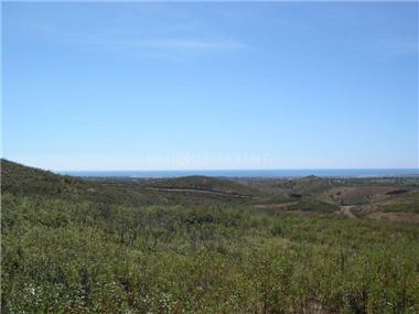 Land/Ruins for sale in Tavira (Faro)
