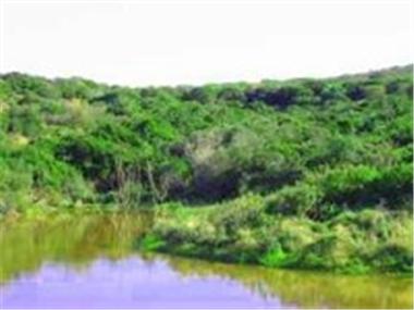 Other for sale in Hartenbos (Province of the Western Cape)