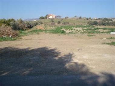Land for sale in Pyrgos (Limassol)