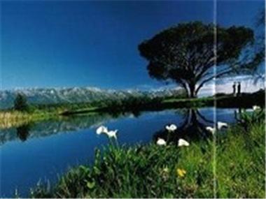 Land for sale in Somerset West (Province of the Western Cape)