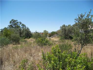 Land/Ruins for sale in Carvoeiro (Faro)
