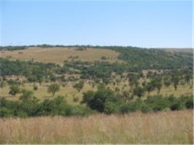 Land for sale in Potchefstroom (Province of North-West)