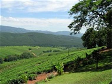 Other for sale in Tzaneen (Limpopo Province)