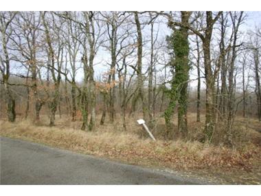 House/Villa for sale in Vouzan (Poitou-Charentes)