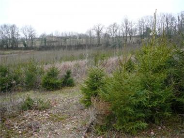 House/Villa for sale in Varaignes (Aquitaine)