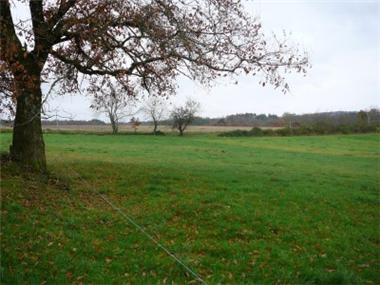 House/Villa for sale in Saint-Martin-le-Pin (Aquitaine)