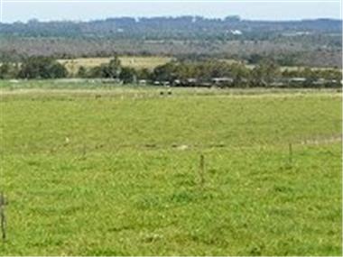 Land for sale in Plettenberg Bay (Province of the Western Cape)