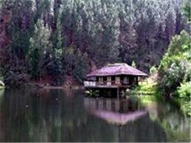Land/Ruins for sale in Plettenberg Bay (Province of the Western Cape)