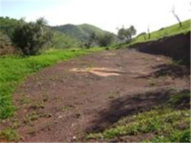 Land/Ruins for sale in Almogia (Andalucia)