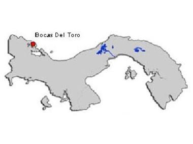 House/Villa for sale in Bocas del Toro (Bocas del Toro)